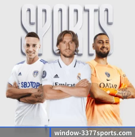 3377体育官网 APP